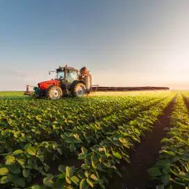 An image of a tractor harvesting vegetables.